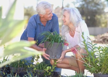 disadvantages tooth implants pros and cons sydney